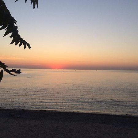 Сдам Комнату В Гостевом Домике Odessa Luaran gambar